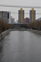 74B55196-79C1-4F66-81E9-78266DB6C699/L0/001