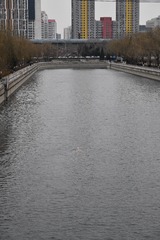 D045A97A-3027-4EA1-9022-4F56065B9545/L0/001