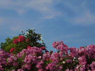 BE10C90F-0F7E-4AAF-BF7D-57C746F9D8D4/L0/001