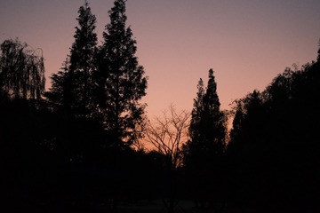 0331363A-E612-4258-ABC3-B235C3D1BEAC/L0/001