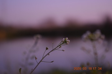 1195550