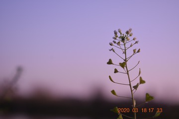 1195551