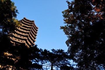 树底之蛙