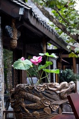 孤芳自赏