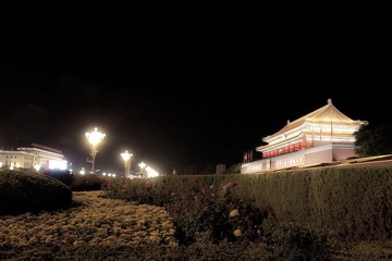 花坛