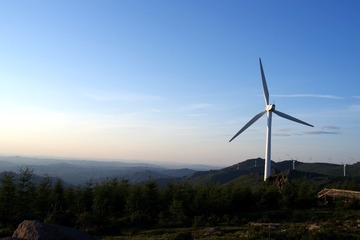 842329