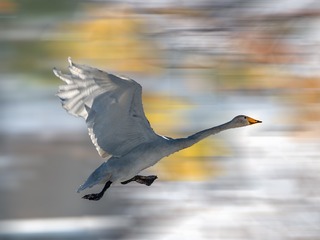 717973