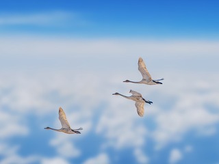 717975
