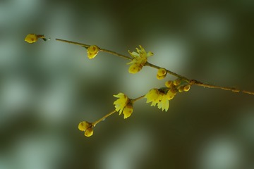0AA96199-2048-4BEF-867D-094D1A9CF3E3/L0/001