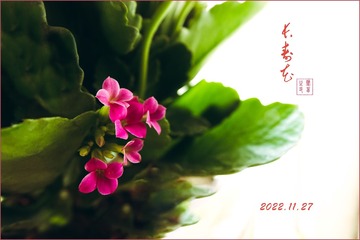FF278797-02A9-471C-9C92-A5E4AF963009/L0/001