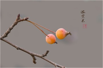 204A23CE-9BB9-4A51-97E2-A62431281C21/L0/001
