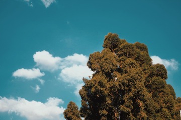 383EE5F7-F8BC-401E-A192-4508E7D95D71/L0/001