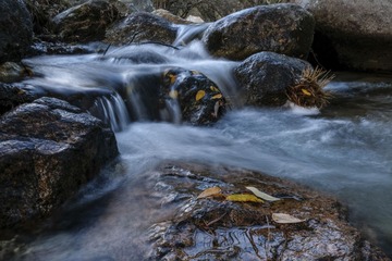 pedro_armestre_04_07