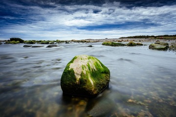 scott_grant_04_16