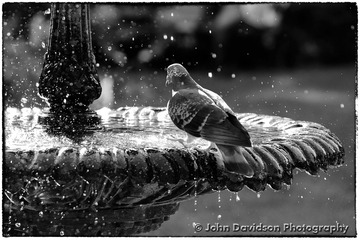 john_davidson_13_04