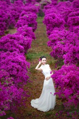 花儿为君开1