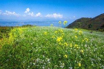 DSC02719-2