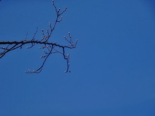 0B7B224C-E872-46D5-B52D-BE04918AC9A3/L0/001