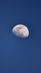 87403F34-6565-40B4-B391-CC5E328AE4BA/L0/001