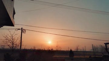 440113