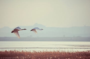 LYX_7616