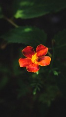 709211B8-20CB-4117-91D2-4702E95C99C1/L0/001