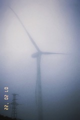 8F4F7667-98A0-4942-8CE2-5A4770328F35/L0/001