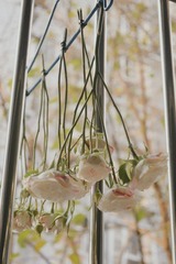 4A7D8671-0D2F-4CD8-BE15-9FF08BA767D1/L0/001