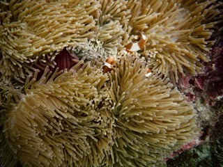 0F72479A-AAB1-4601-8544-E1BD6F60DBAA/L0/001