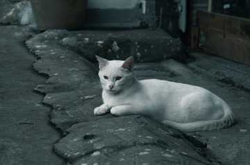 18701