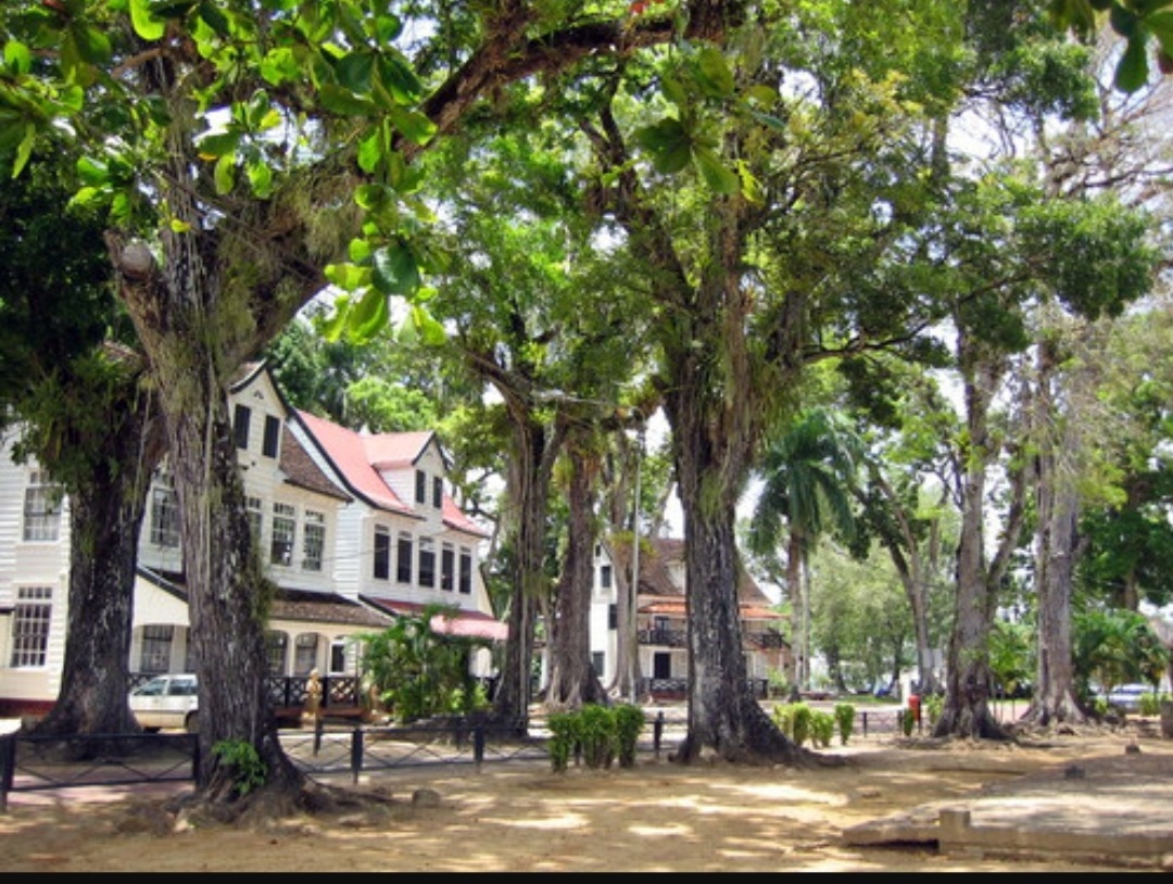 苏里南首都帕拉马里博风光