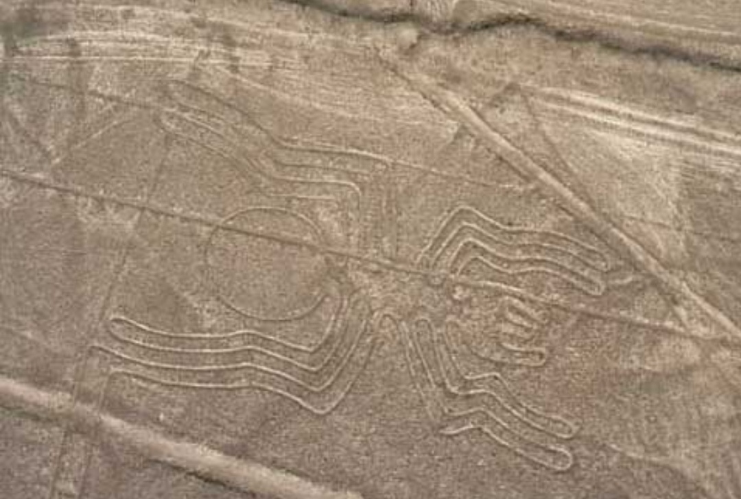 秘鲁纳斯卡荒原图案