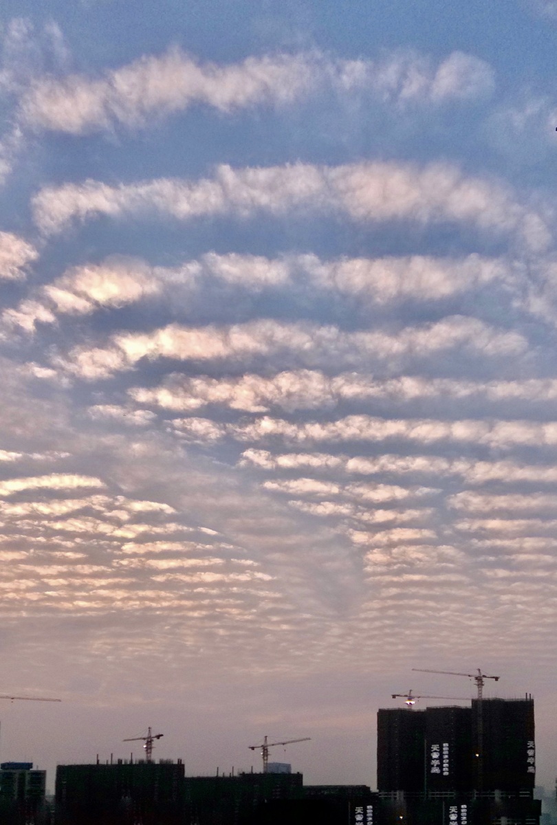 广州台风前夕的梯云