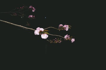 1030716