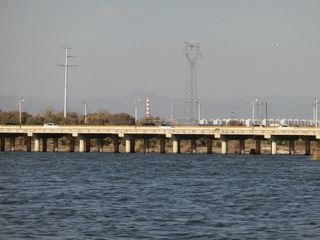 3813928