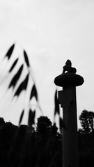 P1210369