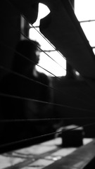 P1220949