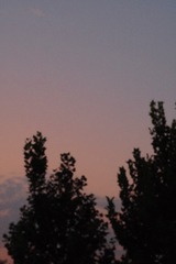 94CEB7A2-6A7B-49C3-8C6D-C37BE722FE36/L0/001