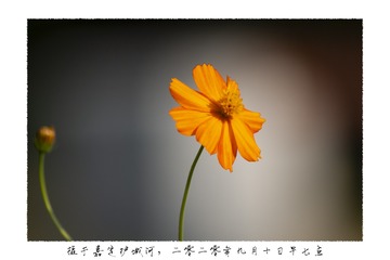 1596717