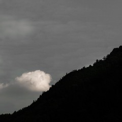 8A8637F3-344C-412F-B0AE-D84255C15DE1/L0/001