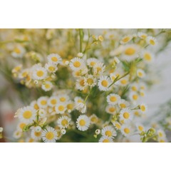 C4E59A7D-FD96-42A3-87EE-CB9B120C9074/L0/001