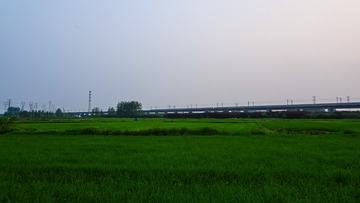 1637432