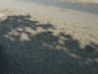 865473