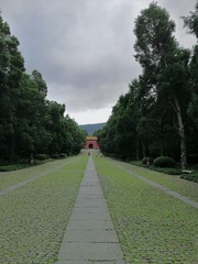 657FBC3E-10D3-4353-BD6D-9DEB6615BF6B/L0/001