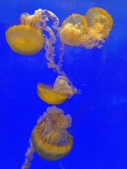 D60E0138-8902-4FB0-B3C5-4DED9780B3C6/L0/001