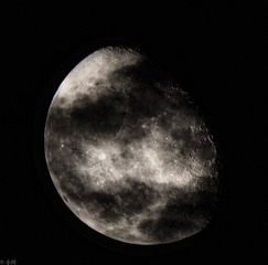21504A81-3690-4AF4-8D6F-C5EA1FA95749/L0/001