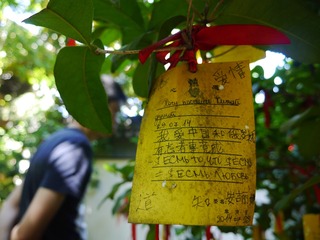 P1100132