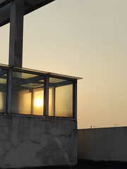 1000026364