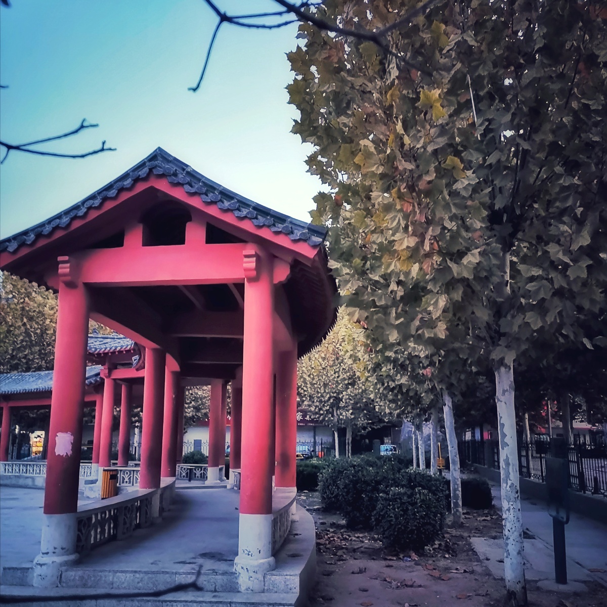 我爱我家楼下的公园