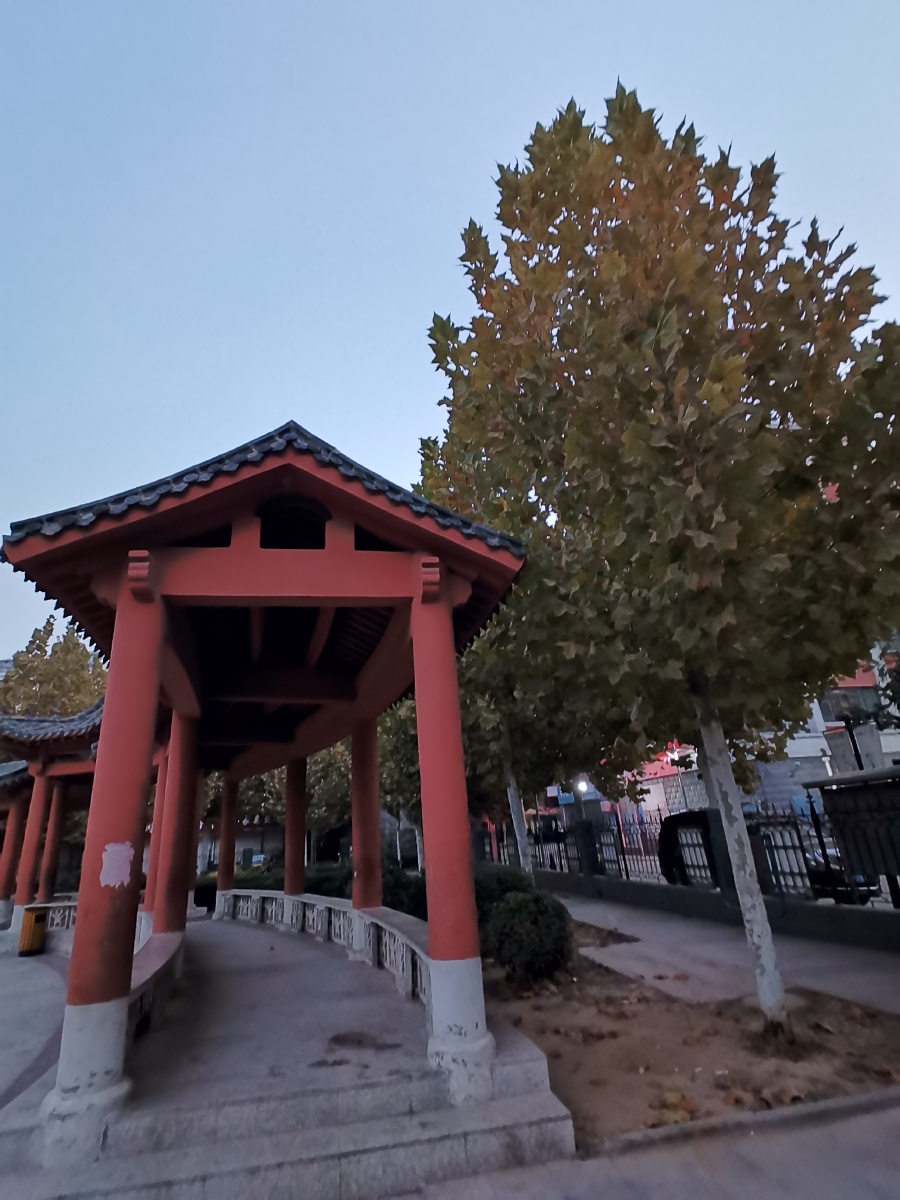 我爱我家楼下的公园